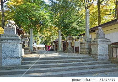 Tsuki Shrine / precinct entrance approach Tsuki Shrine / precinct entrance approach 71857855