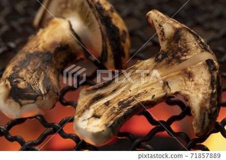 Grilled Matsutake Mushroom Shichirin Charcoal Grill Grilled Matsutake Mushroom Shichirin Charcoal Grill 71857889