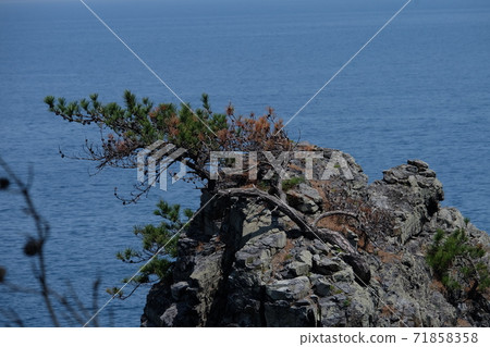 Omi Island Omi Island 71858358