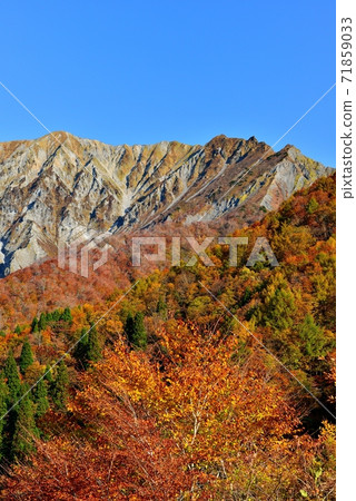 Autumn leaves of Oyama 71859033