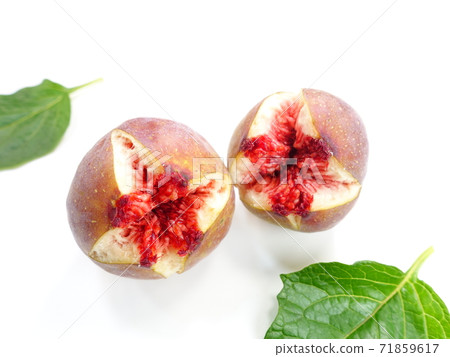 Fig fig 71859617