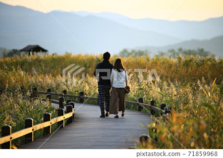 蘆葦場景觀，秋天，順天灣濕地 71859968
