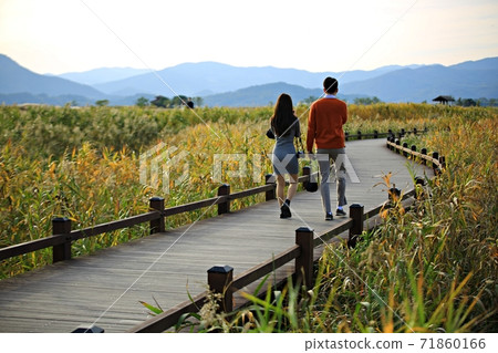 The road you want to walk, autumn reed field 71860166