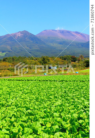 美麗的淺間山2011年零件:山川織2011年的敷敷 美麗的淺間山2011年零件:山川織2011年的敷敷 71860744