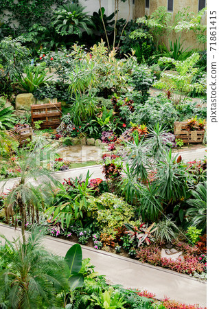 Flowerbed gardening image Flowerbed gardening image 71861415