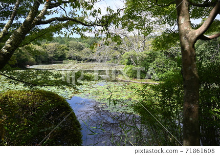 Ryoanji Temple Kyoyo Chi National Scenic Spot 71861608