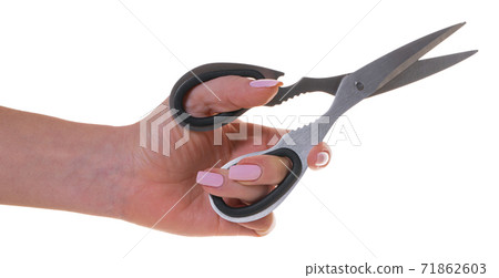 kitchen scissors in female hand kitchen scissors in female hand 71862603