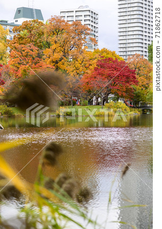 Nakajima Park in Autumn (Sapporo City) Nakajima Park in Autumn (Sapporo City) 71862718