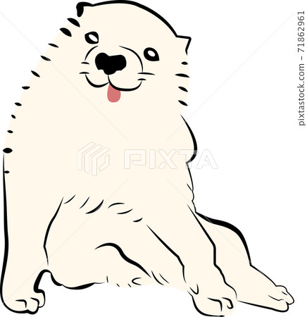 長澤蘆之犬 71862961
