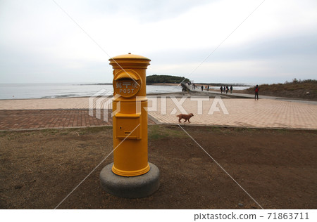 Happy yellow post in Qingdao Miyazaki Prefecture Happy yellow post in Qingdao Miyazaki Prefecture 71863711