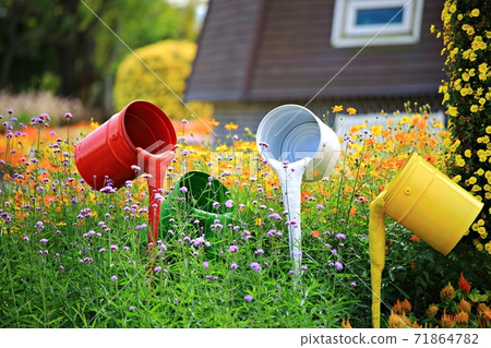Beautiful Garden, Suncheon Bay National Garden 71864782