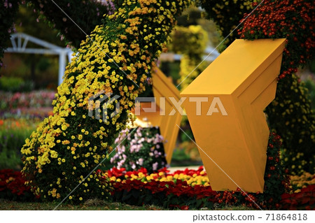 Beautiful Garden, Suncheon Bay National Garden Beautiful Garden, Suncheon Bay National Garden 71864818