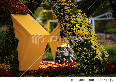 順天灣國立花園美麗的花園 71864819