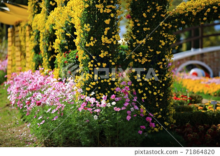 順天灣國立花園美麗的花園 71864820