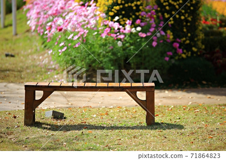 Beautiful Garden, Suncheon Bay National Garden Beautiful Garden, Suncheon Bay National Garden 71864823