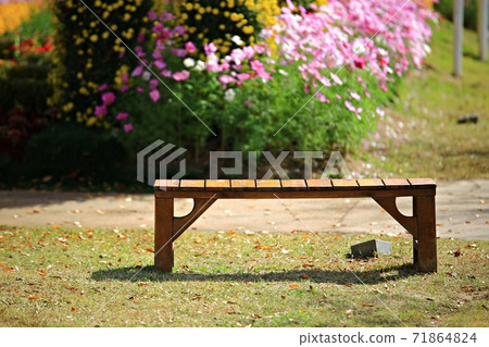 順天灣國立花園美麗的花園 71864824