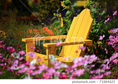 順天灣國立花園美麗的花園 順天灣國立花園美麗的花園 71864825