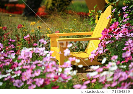 Beautiful Garden, Suncheon Bay National Garden Beautiful Garden, Suncheon Bay National Garden 71864829