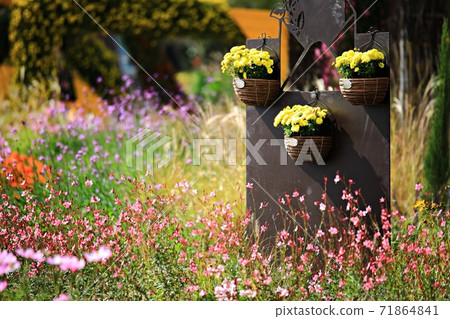 順天灣國立花園美麗的花園 71864841