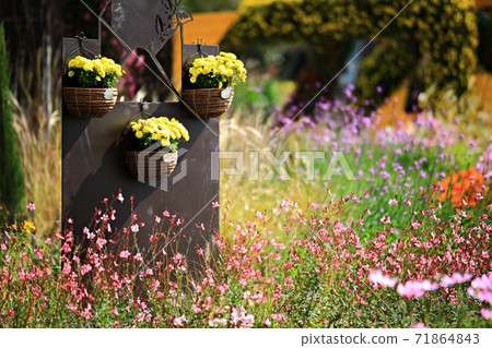 Beautiful Garden, Suncheon Bay National Garden 71864843