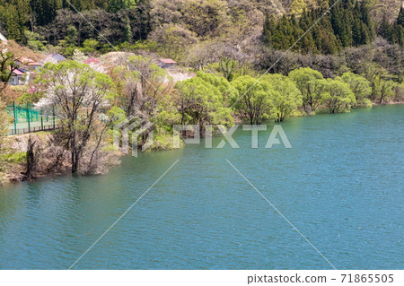 Fresh green Okutone Lake Fujiwara Fresh green Okutone Lake Fujiwara 71865505