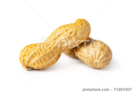 Peanut on a white 71865907