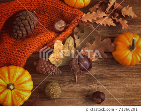 autumn template with pumpkin and dried leaves on wooden table 71866291