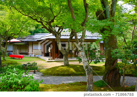 Kodaiji Temple Kumoi 71866788