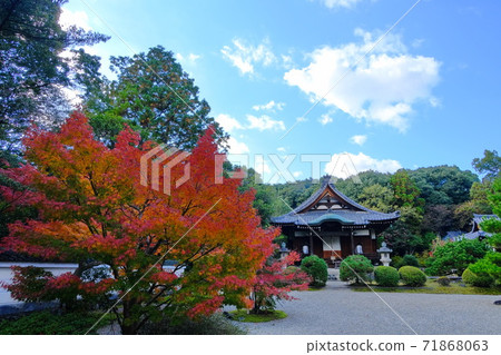 Akishino-dera, a hidden temple in the ancient city of Nara Akishino-dera, a hidden temple in the ancient city of Nara 71868063