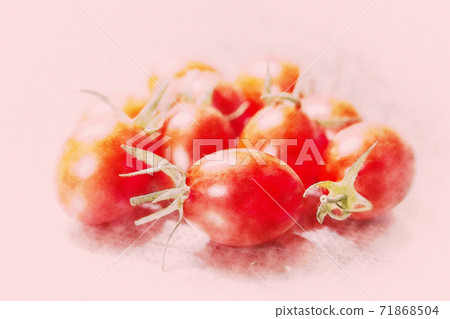  櫻桃西紅柿 71868504