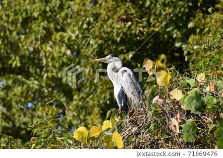 Yamadaike Park Yamadaike Park 71869476
