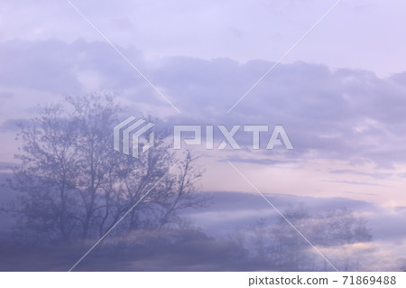 Sunset Sunset 71869488
