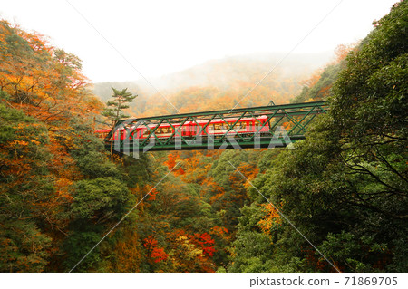 秋葉和鐵路 71869705