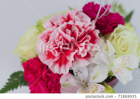Flower Arrangement_Christmas Color-53 Flower Arrangement_Christmas Color-53 71869935