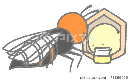 Adults and larvae of wasps exchanging nutrients (gray) Adults and larvae of wasps exchanging nutrients (gray) 71869936