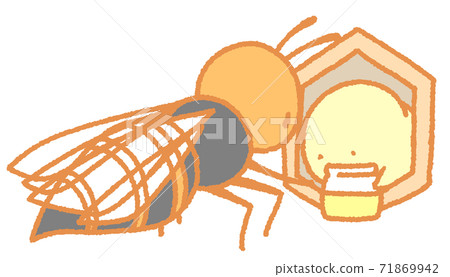 蜜蜂和成蟲的幼蟲交換養分(橙色) 蜜蜂和成蟲的幼蟲交換養分(橙色) 71869942