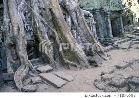 CAMBODIA SIEM REAP ANGKOR TA PROHM TEMPLE 71870598