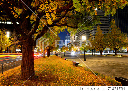 Ginkgo trees on Marunouchi Gyoko-dori, Tokyo Station, the center of the Tokyo economy 71871764