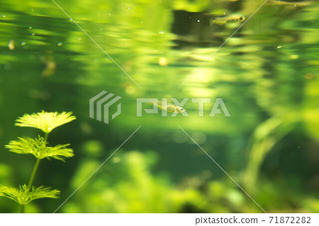 Aquarium is fun Aquarium is fun 71872282