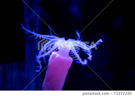 Aquarium is fun Aquarium is fun 71872285