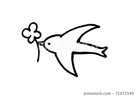 Swallow Swallow 71872549