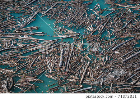 The place where driftwood ends 71872811