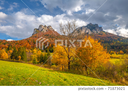 Autumn rural landscape with mountains peaks on background. 71873021