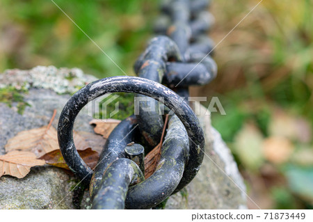 A closeup picture of a metal ring and a chain. Blurry background with green grass and autumn leaves A closeup picture of a metal ring and a chain. Blurry background with green grass and autumn leaves 71873449