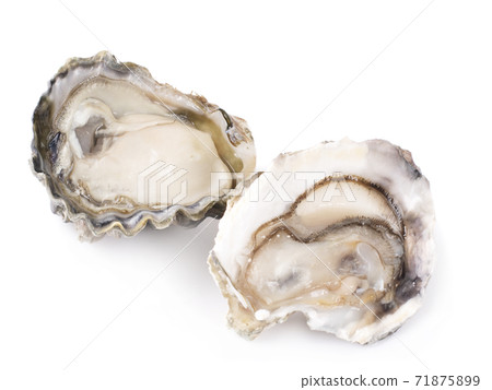 Fresh opened oyster on a white background 71875899