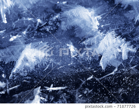 Snowflakes on ice of frozen river Snowflakes on ice of frozen river 71877726