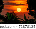 beautiful sunset in the garden 71878125