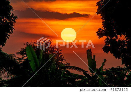 beautiful sunset in the garden 71878125
