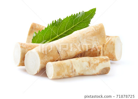 Horseradish root with leaf 71878725