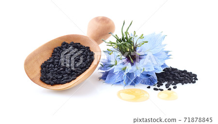 Black cumin seeds with flower on white background Black cumin seeds with flower on white background 71878845